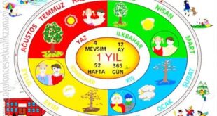 Kamp İçin En Uygun Zamanlar: Mevsim ve Hava Şartları