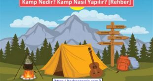 Kamp Nedir ve Nasıl Yapılır? Yeni Başlayanlar İçin Rehber