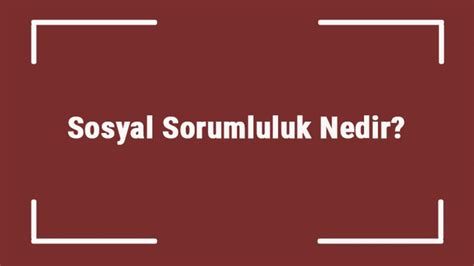 Sosyal Sorumluluk Projeleri ve İnsan Hakları Mücadelesi