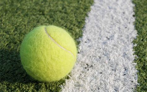 Tenis Lisansı Nedir?