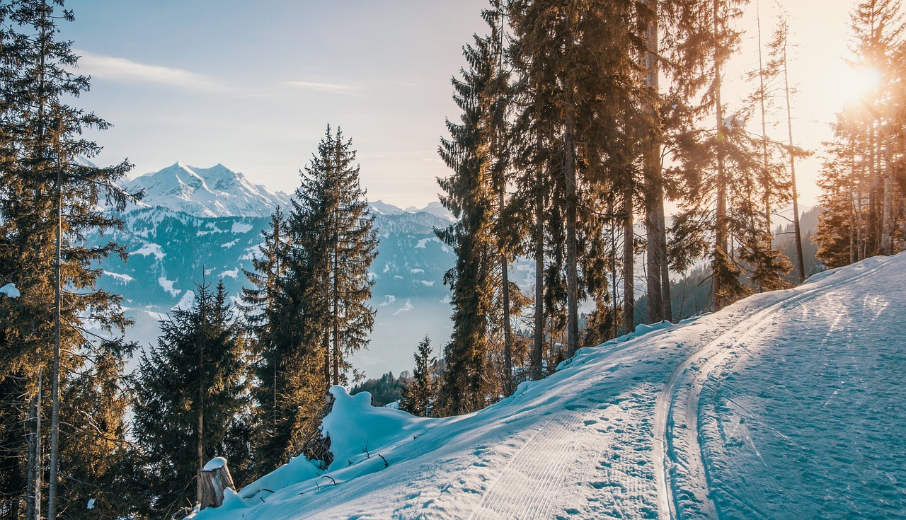 Dünyanın En Sıra Dışı Snowboard Böyleçağırmak: Yapmanız gereken listeler